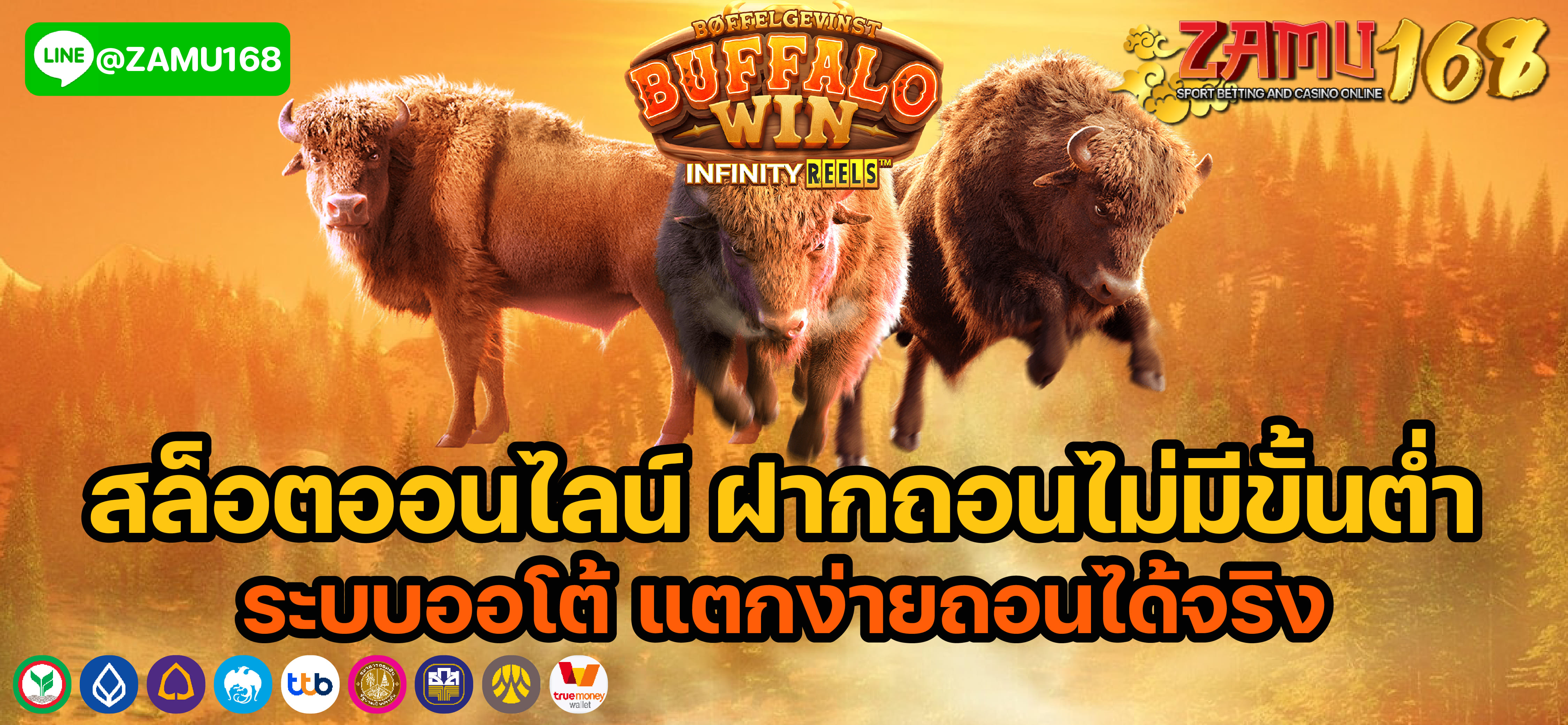 โปรโมชั่นสมัครใหม่